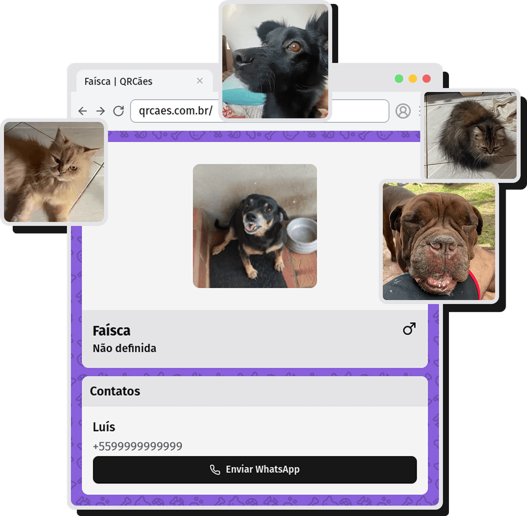 Pagina do pet