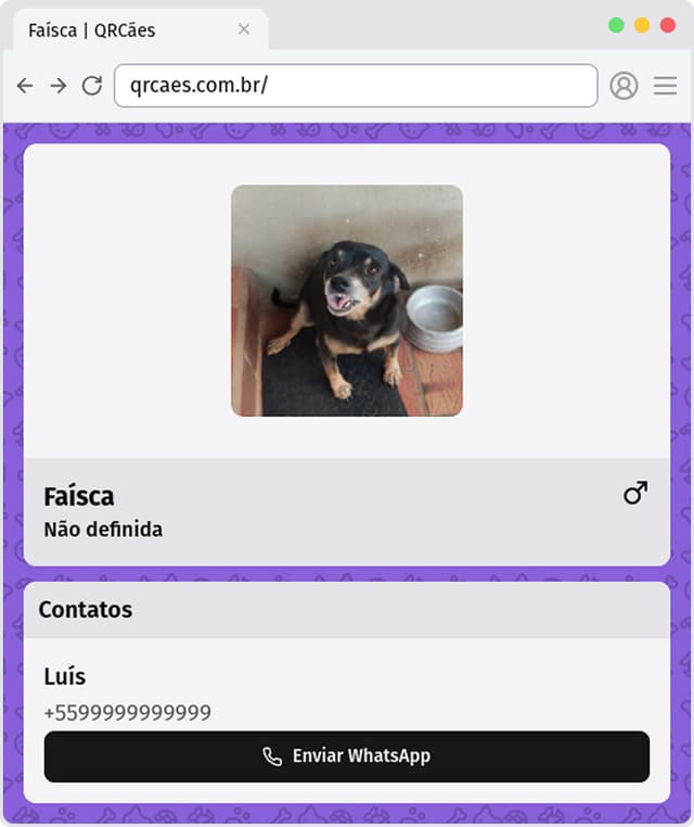Perfil completo do pet